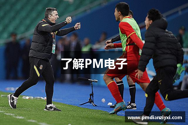了解PM电子